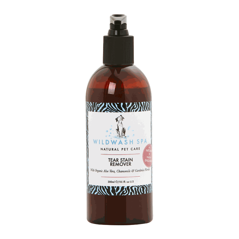 Odoo • A picture with a caption