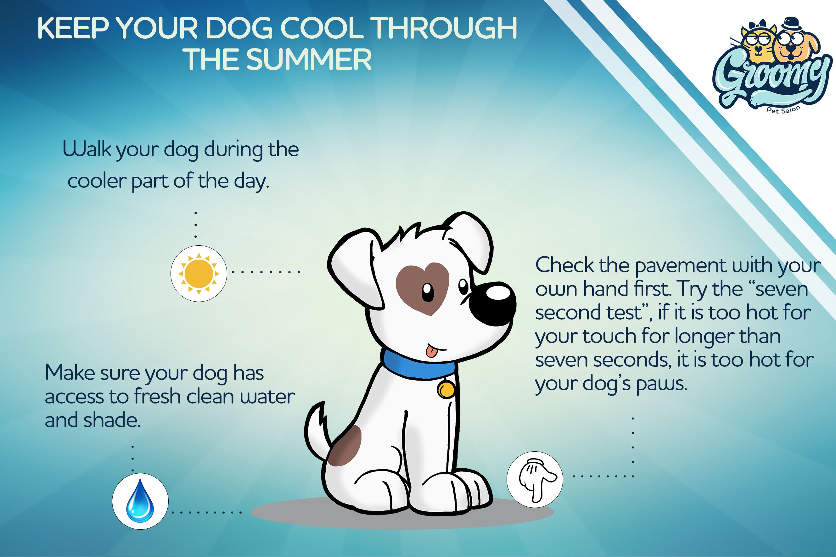 Odoo • Text and Image