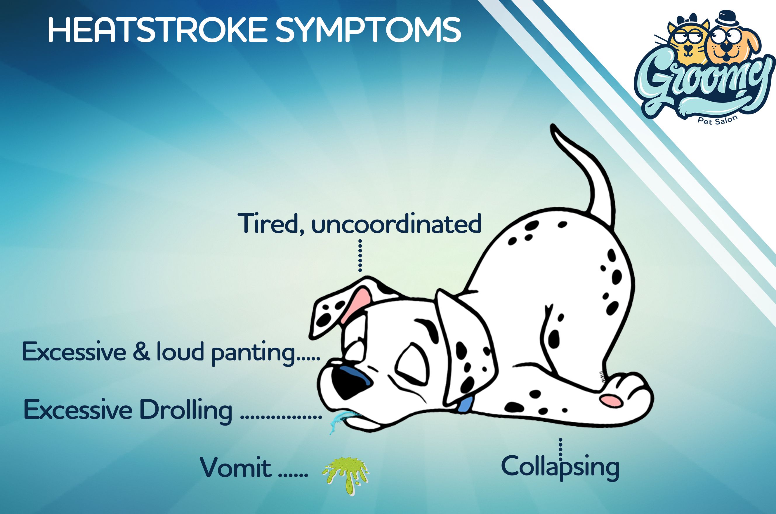 Odoo • Image and Text