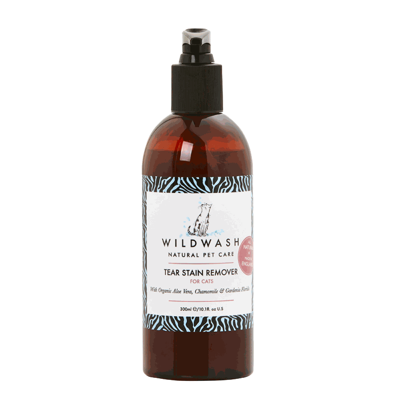 Odoo • A picture with a caption